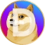DOGE