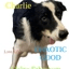 CHARLIE