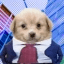 BUSINESS