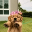 BUDDY