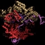 CRISPR