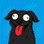 DOG8004