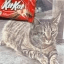 KITKAT