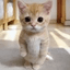 RUECAT