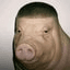 PIGGER