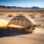 TURT