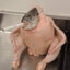 SCF