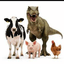 ANIMALTWT