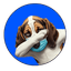 $HOUND
