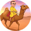 CAMEL