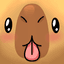 CAPY