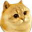 CATGE
