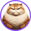 CHONK