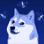 DOGE-1SAT