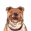 DOGSROCK