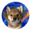 GOGO