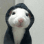 HOODRAT