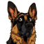 HUND