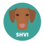 HVI