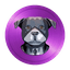 JAXINU