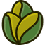 SEED