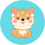 MOMMYDOGE