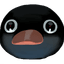 NOOT