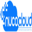 NCDT
