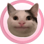POCAT