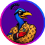 PCOCK
