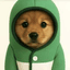 PUP