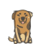 SABAKA INU