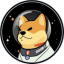 DOGE-1
