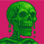 SKELSUI