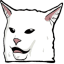 SMUDGE