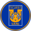 TIGRES