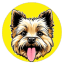 TOTO