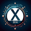 X314
